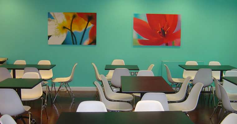 Colourful educational cafeteria design